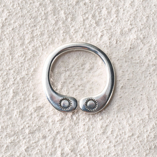 Twin Guardians Ring